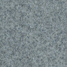 Лінолеум Смарт 600 2,20 3,00